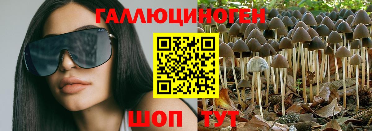 Псилоцибиновые грибы Magic Shrooms Азов